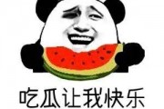 吃瓜群众 翻译,网络时代的围观文化